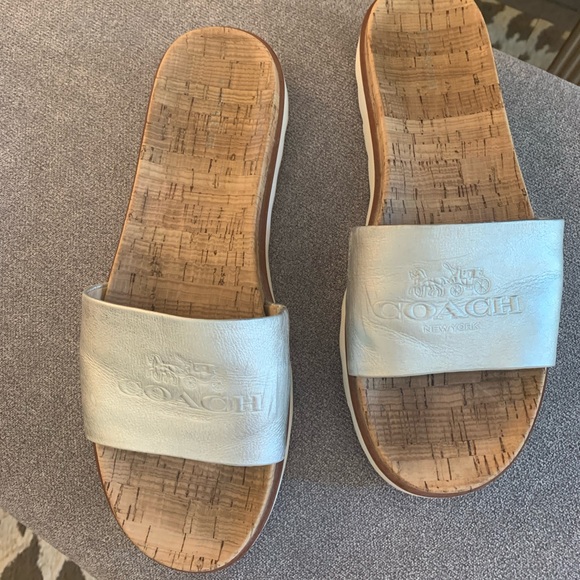 Coach Slides - Picture 2 of 3